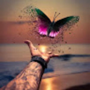 Meet your Posher, Teresa